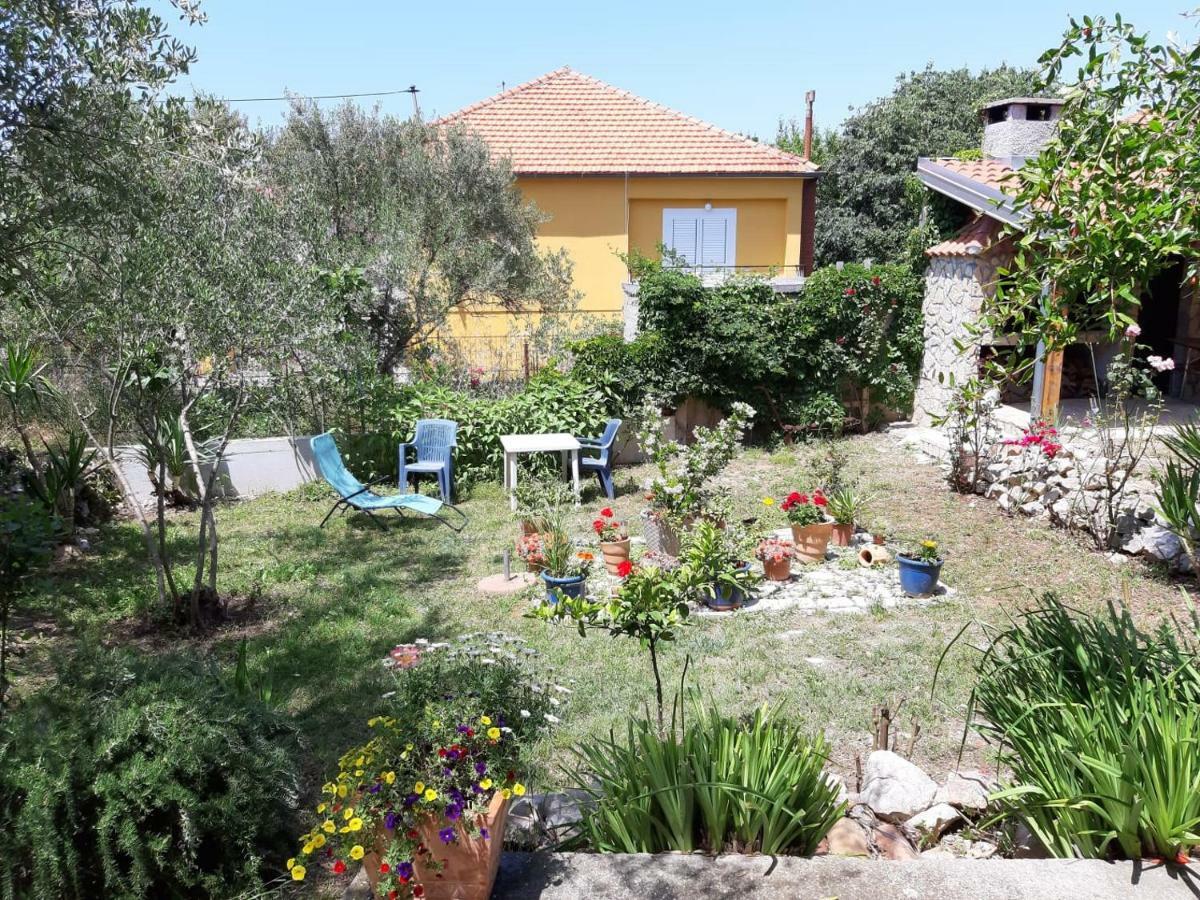 Apartman Suzana Sindija Bibinje Εξωτερικό φωτογραφία